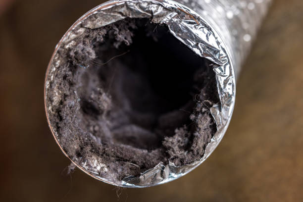 Best Local Air Duct Cleaning Services  in Swede Heaven, WA